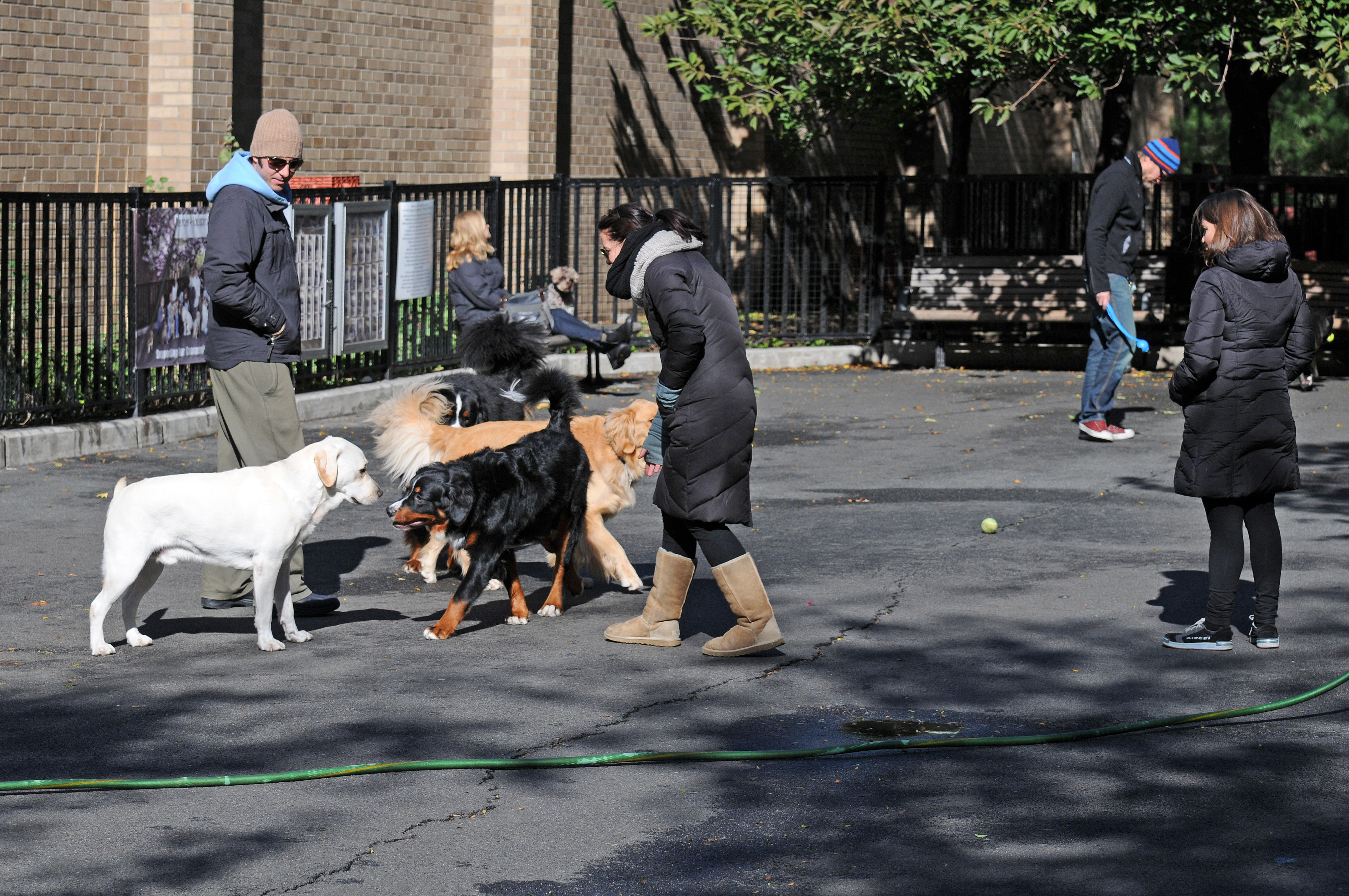 Mercer/Houston Street Dog Run