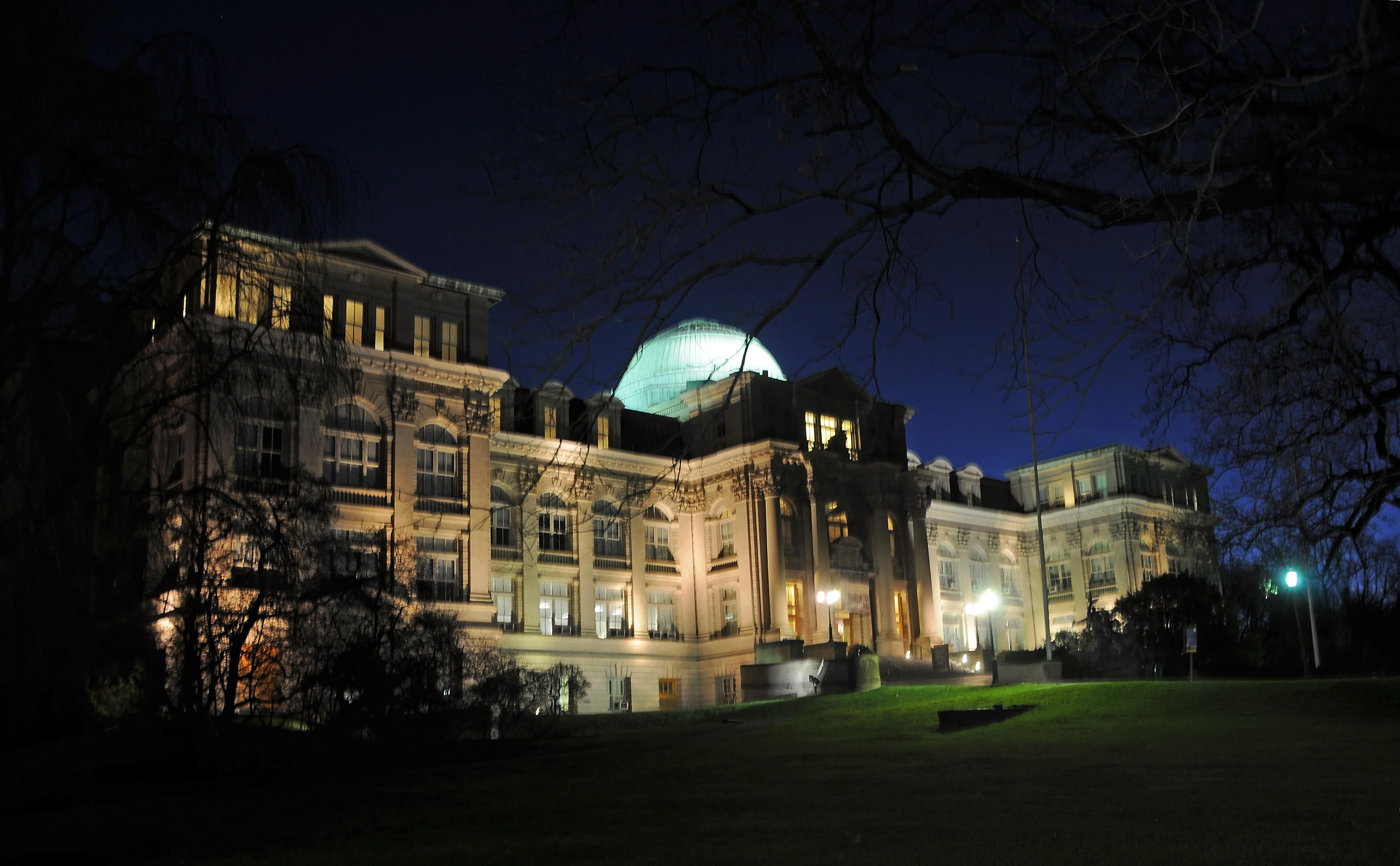 Library Just Before Daybreak