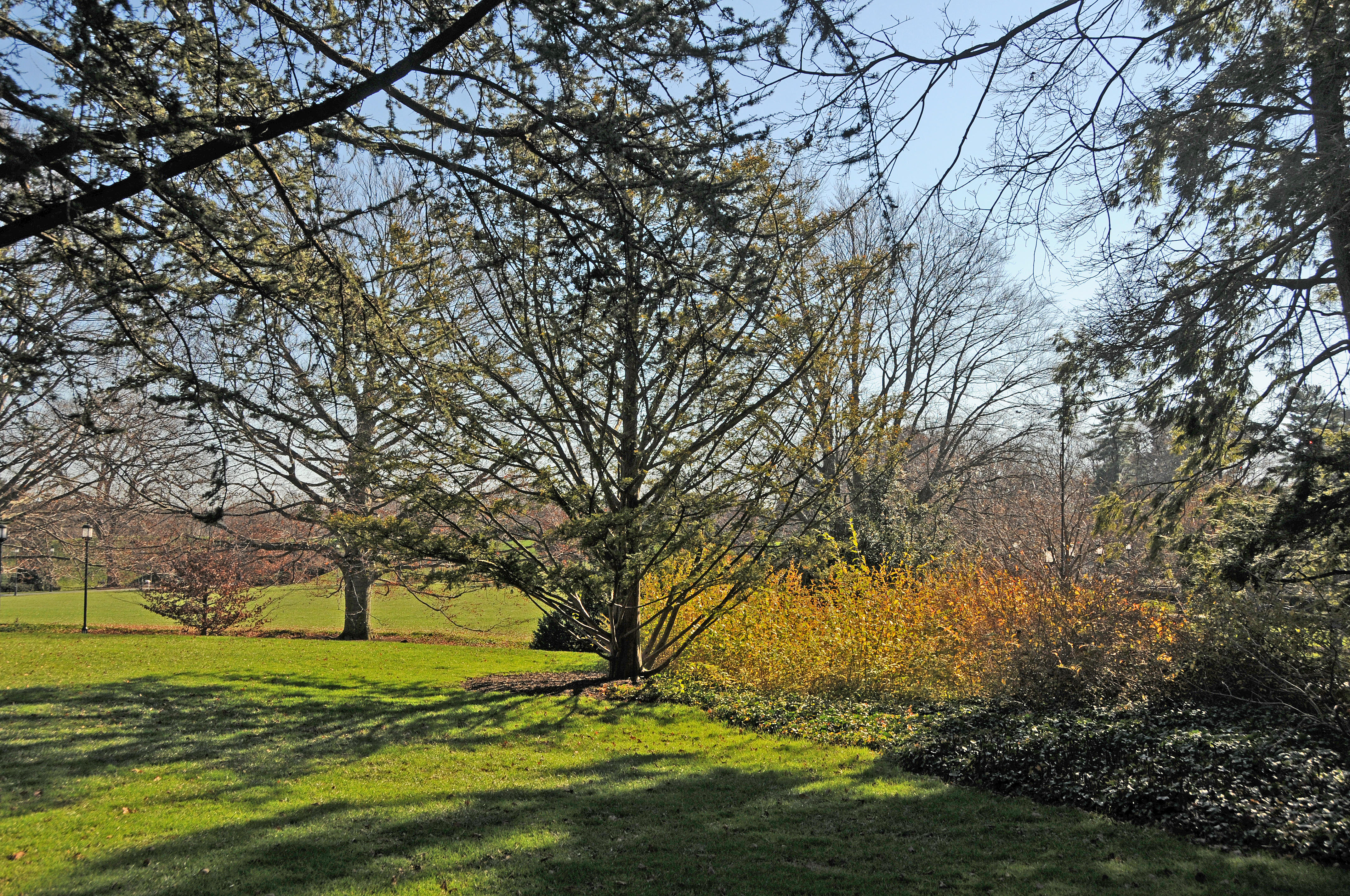 DSC_8109.JPG
