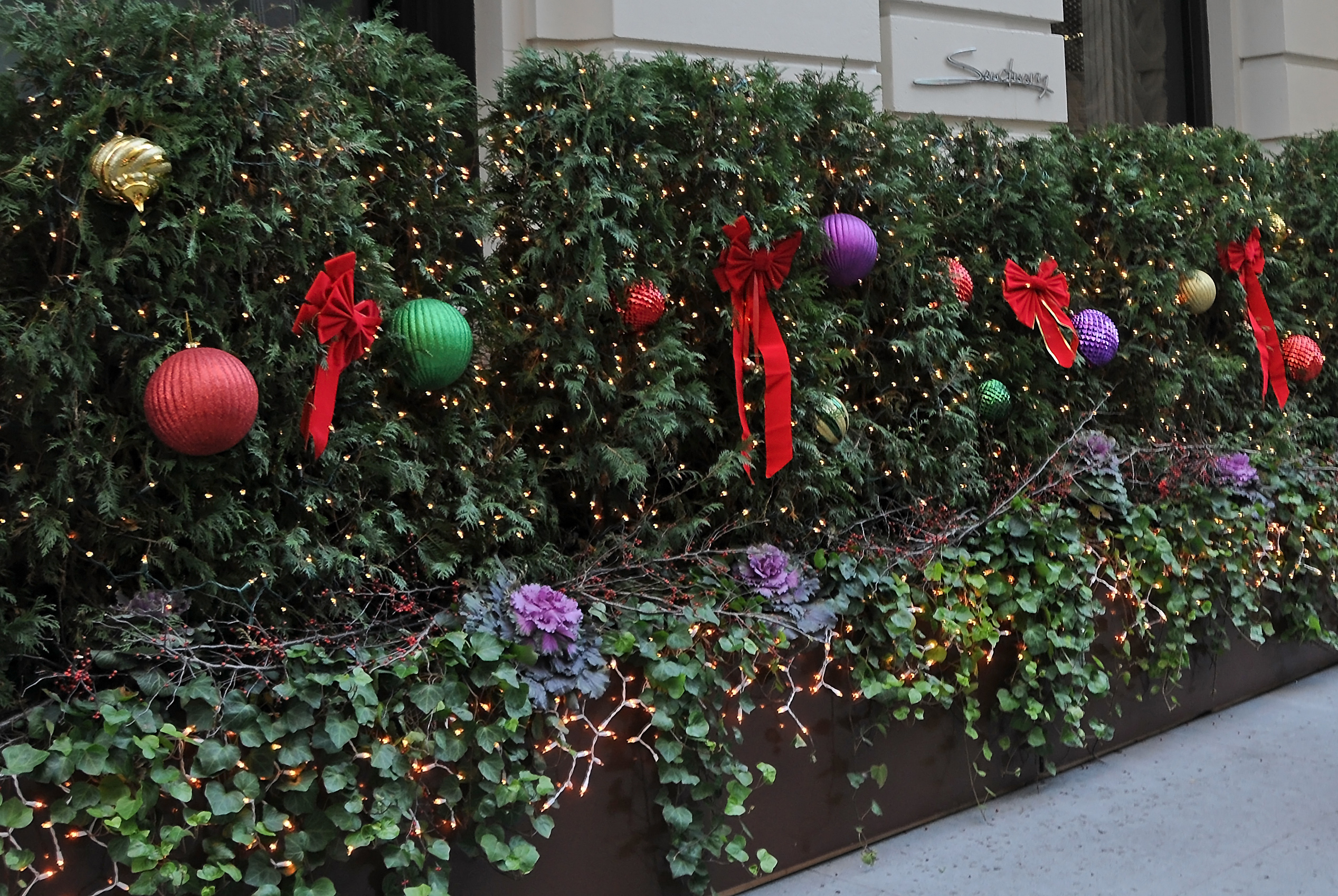 DSC_8365.JPG