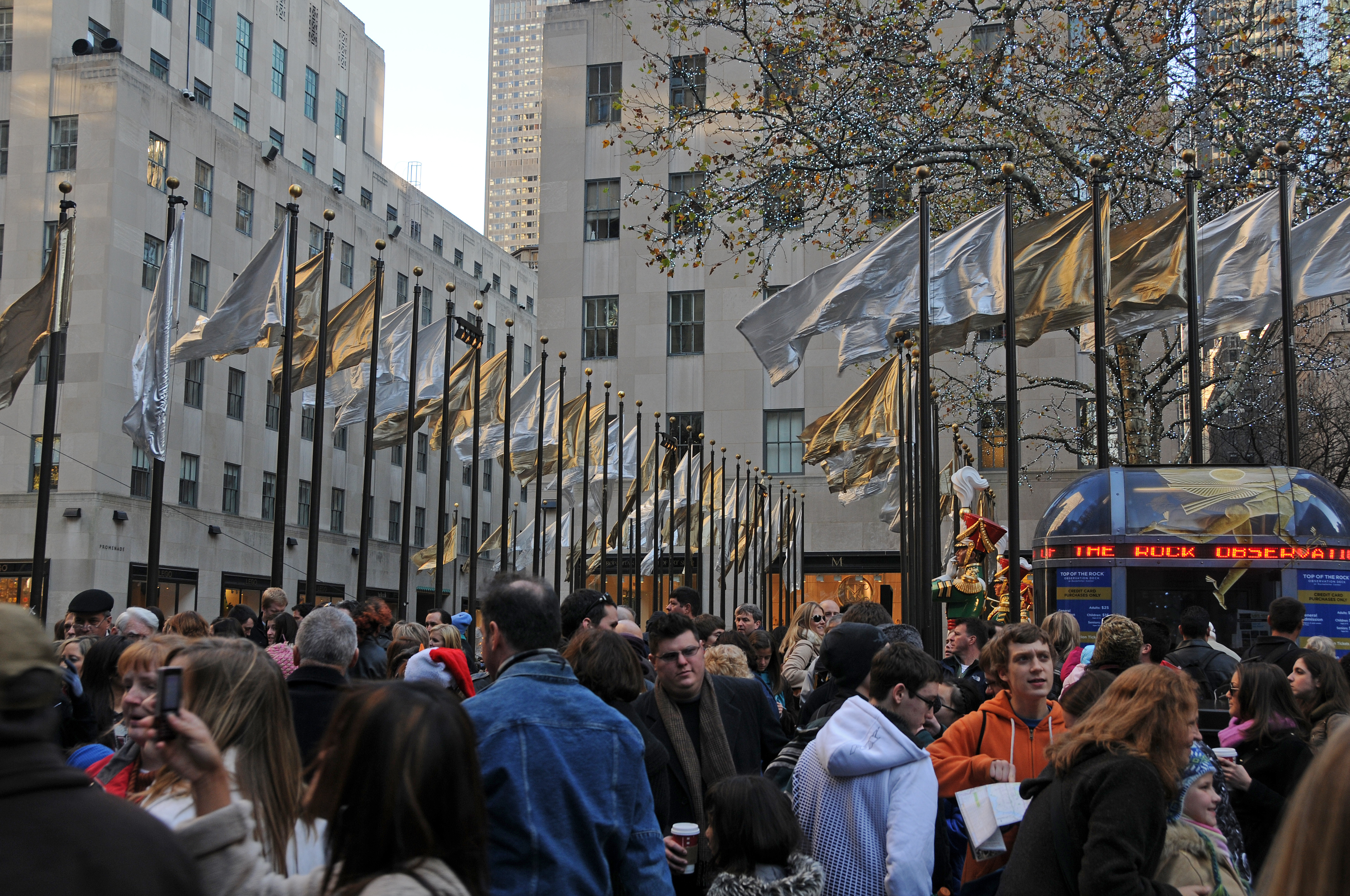 DSC_8374.JPG