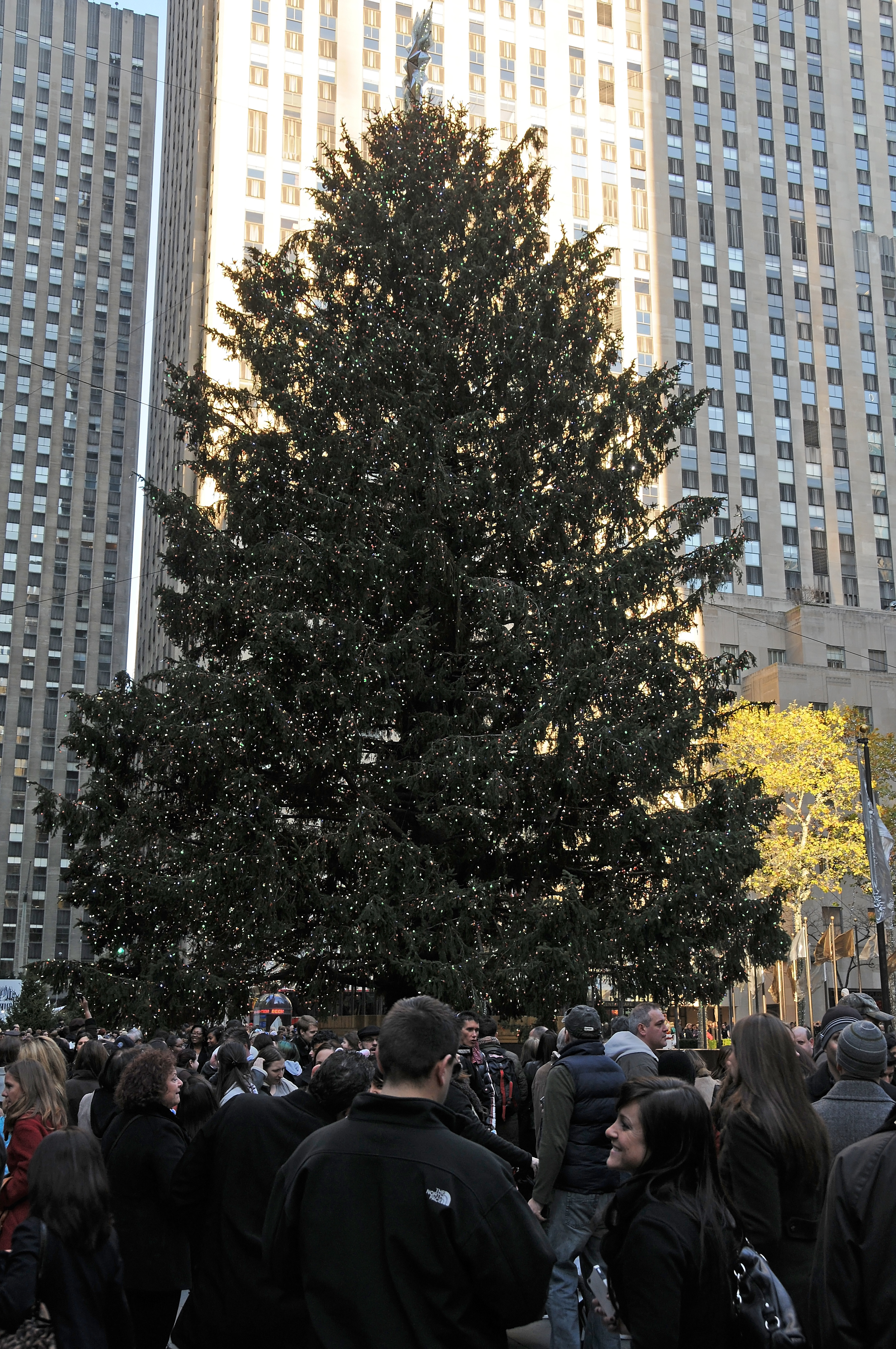 DSC_8375.JPG