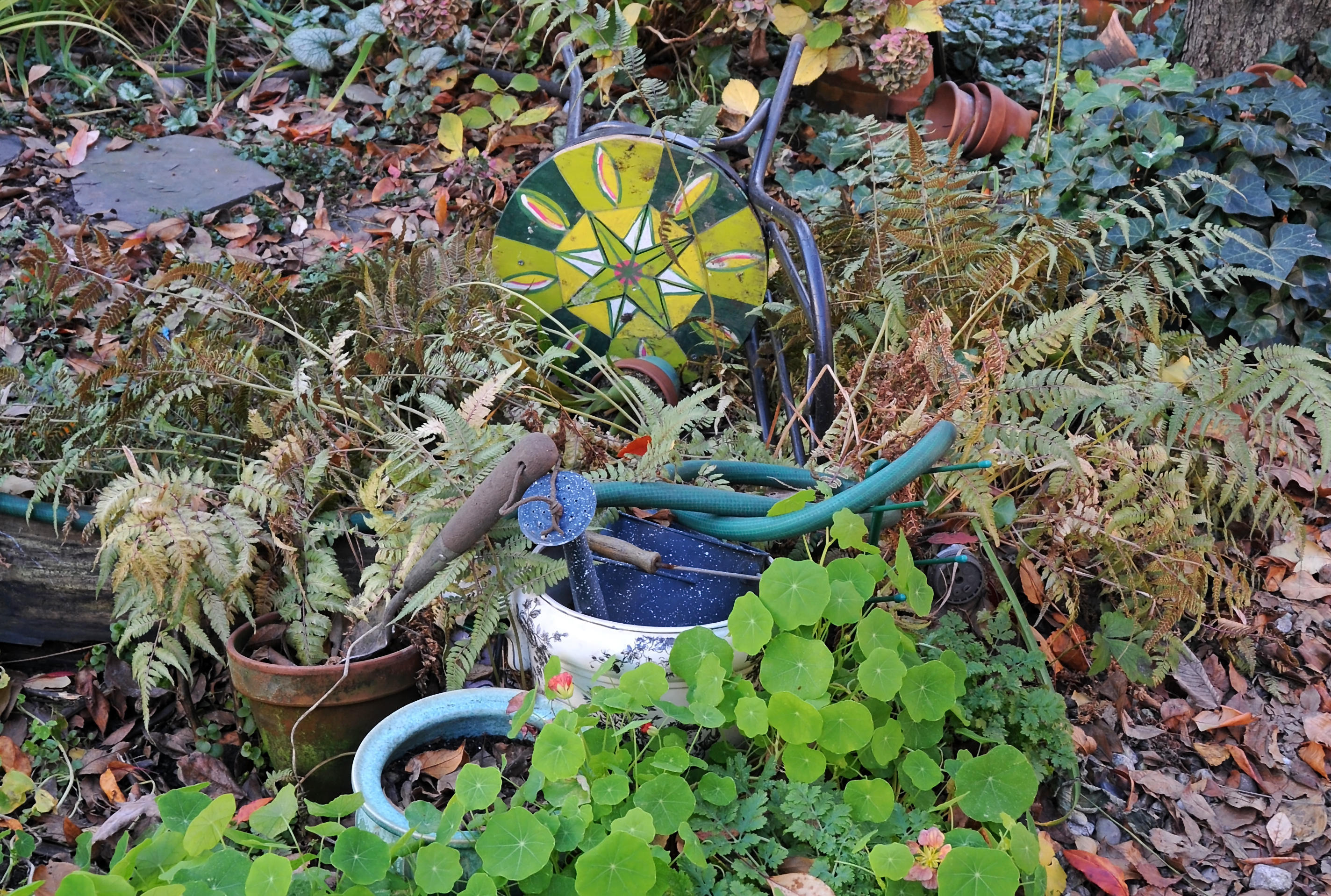 Garden Plot - Approaching Winter
