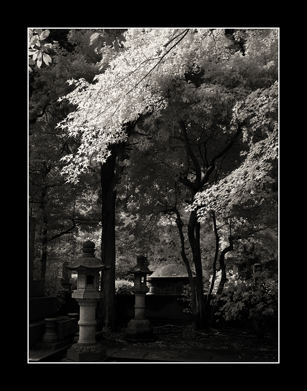 Aoyama Cemetery,Tokyo