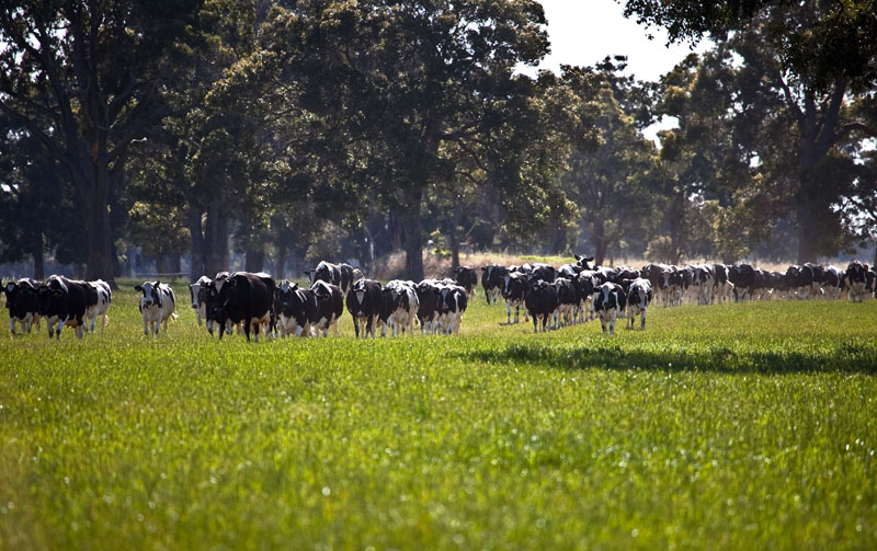 On the moove