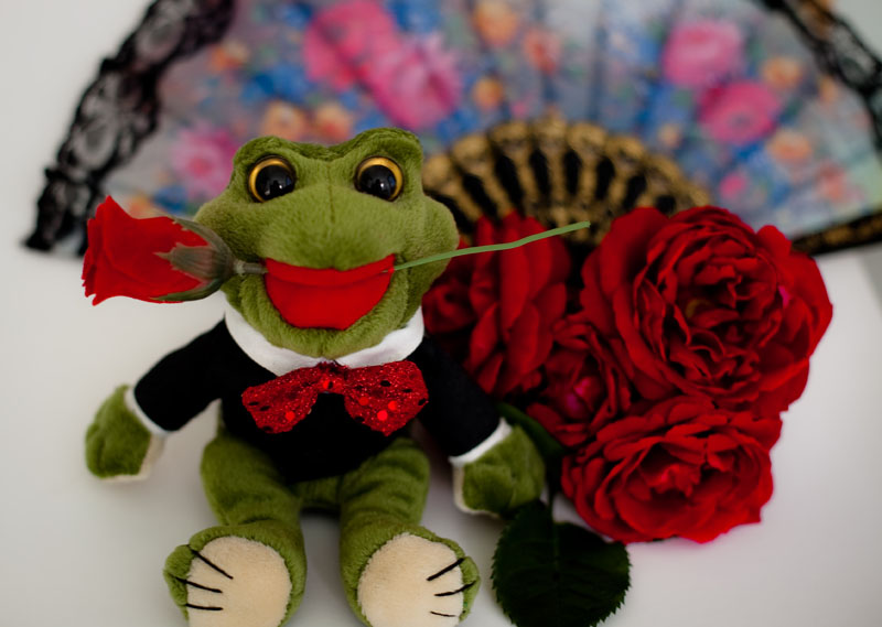 Day 20: A stuffed doll/animal that you own