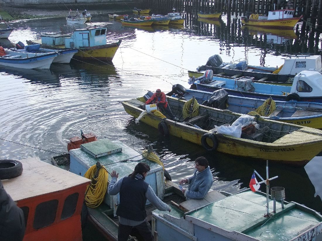 The fishing port in Ancud