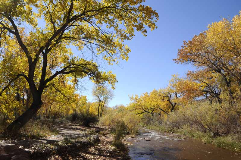 o1/28/835728/1/139253185.7xiCScAw.ToJemez100932.jpg