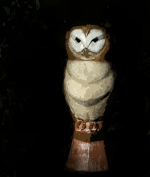 Watcher Owl