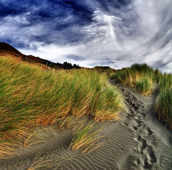 Dune Trail