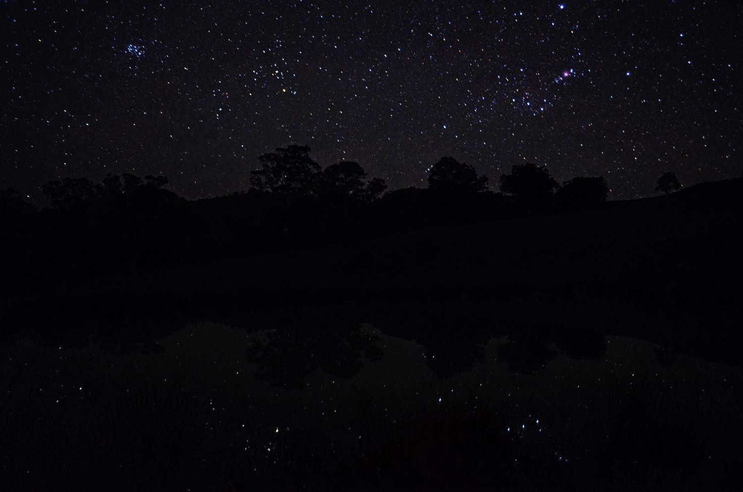 Orion Taurus Reflections