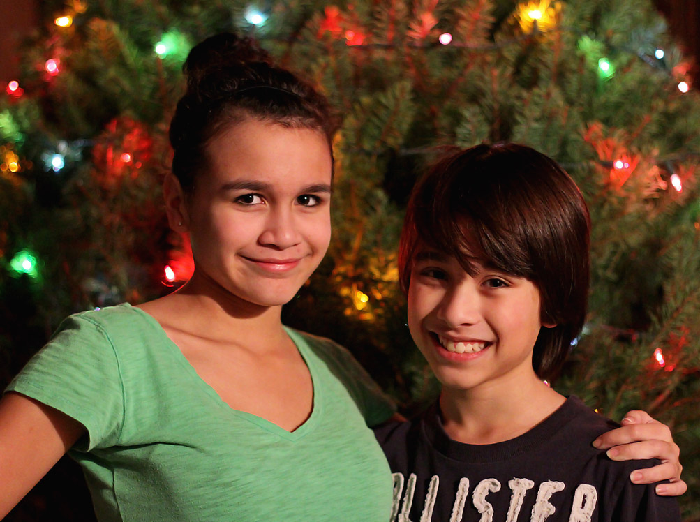 IMG_3847  WIC #87 - Holiday Greeting ...