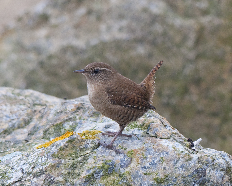   Varbergs hamn Halland