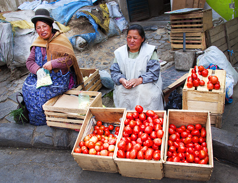 Tomatoes for Sale