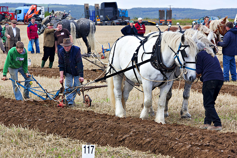 Vintage Ploughing Competition