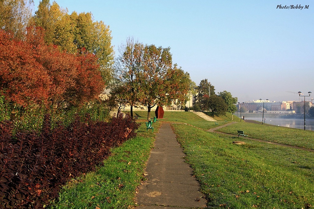 Autumn by Vistula River