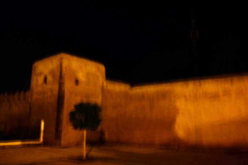 Les remparts de la Medina