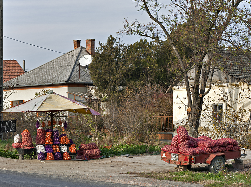 Competition across the street (Or: Thats an awful lot of potatoes!)