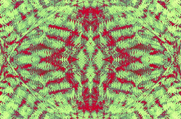 Red Under
