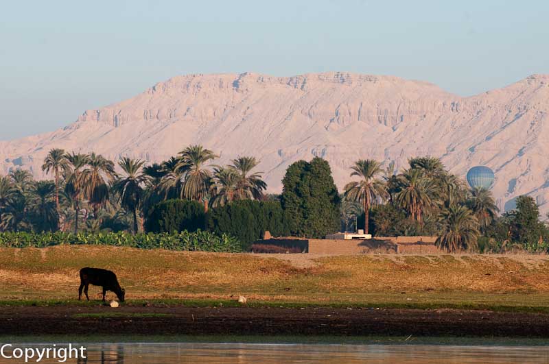 West Bank at Luxor, early morning