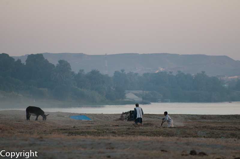 Farmers near Luxor