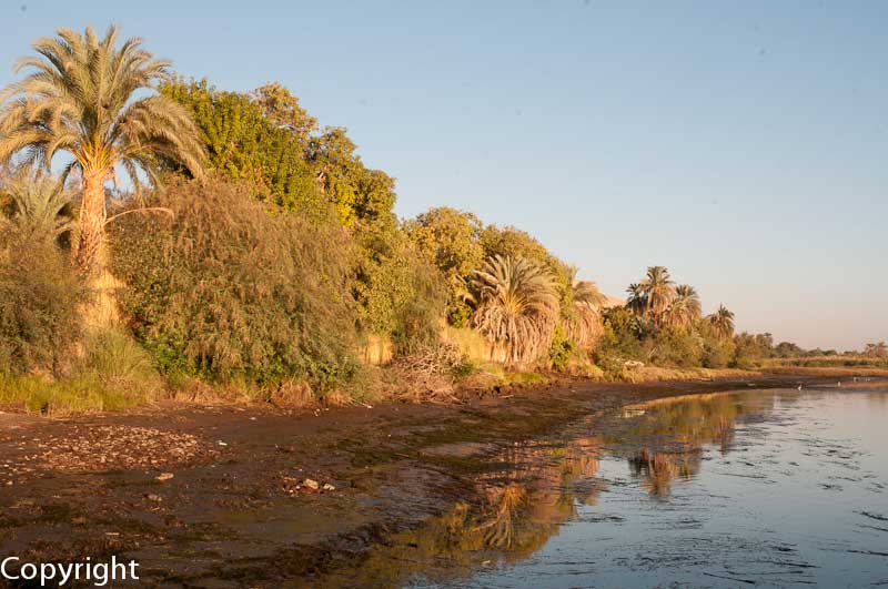 Early morning on the banks of the Nile