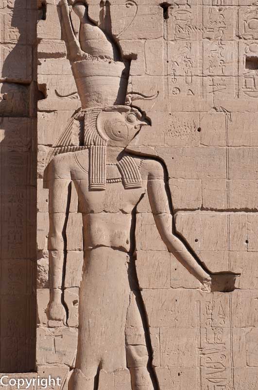 Horus, the falcon-headed god