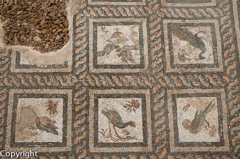 Mosaic in the Roman Villa of the Birds