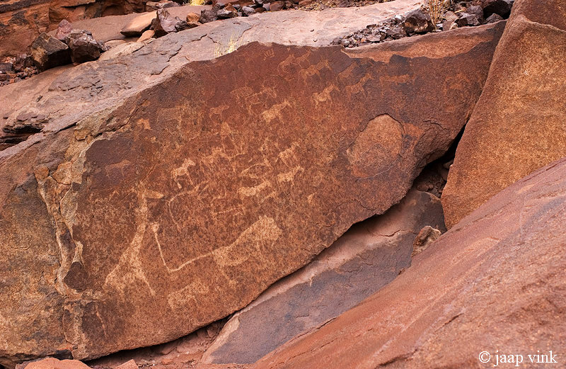 Bushman Rock Engravings - Bosjesman Rotstekeningen