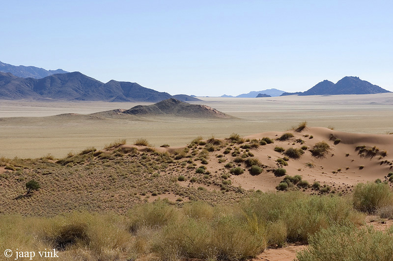 Desert - Woestijn