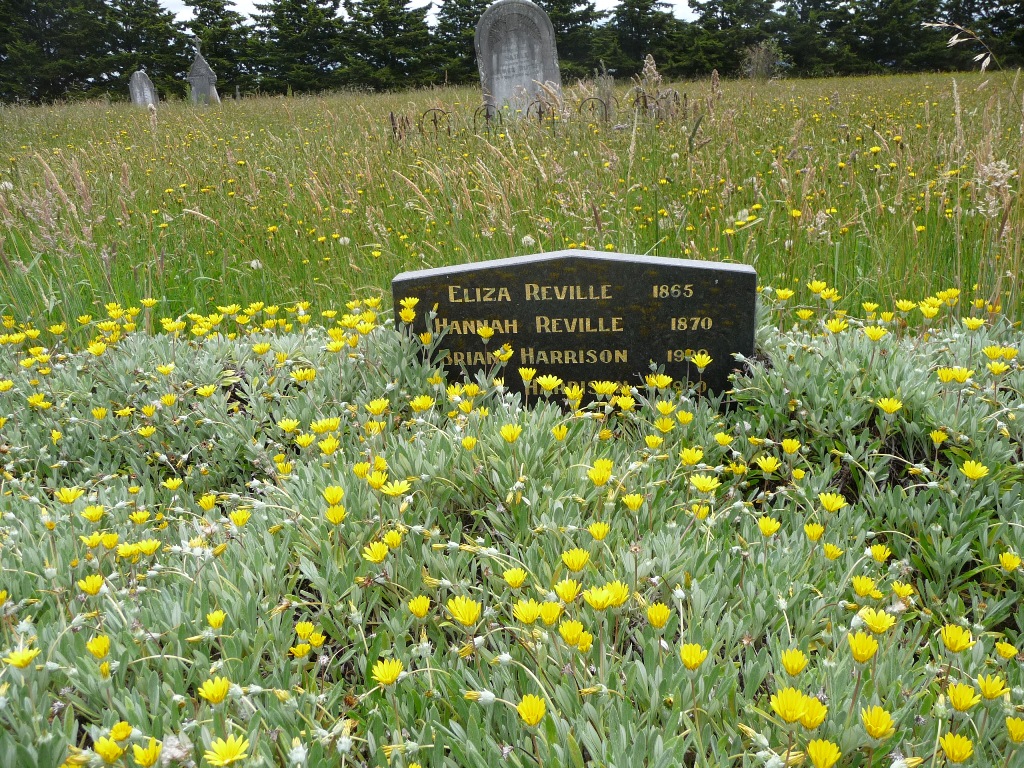 Cemetery after Spring rain