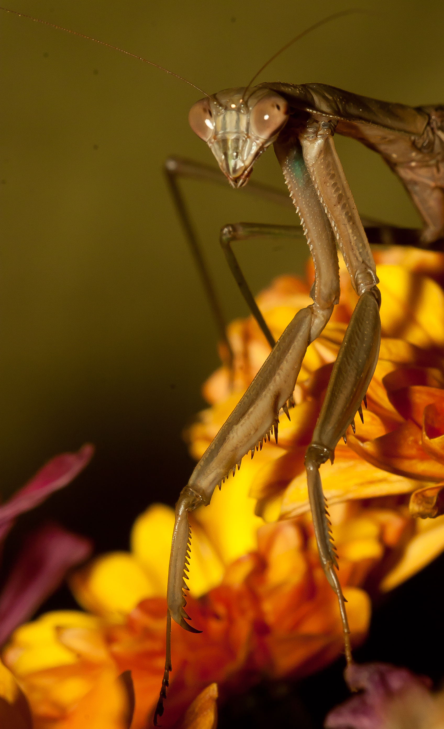 CRW_3098.jpg