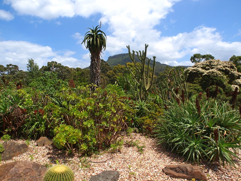  Wollongong Botanic Gardens