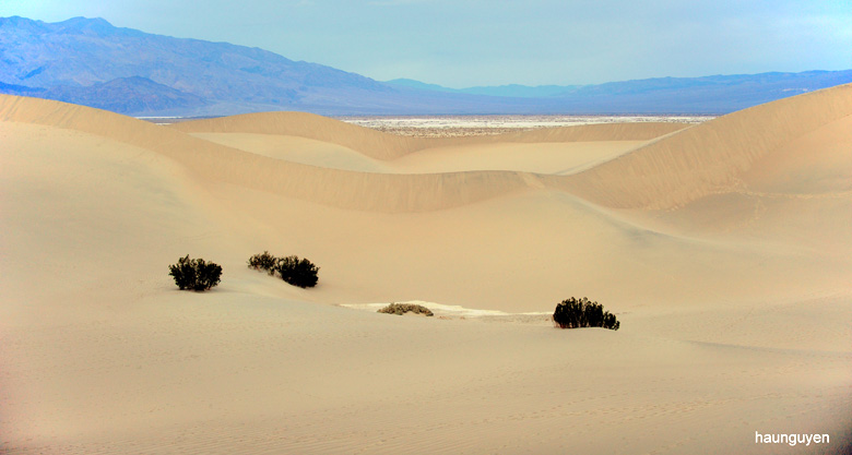 Sand dunes