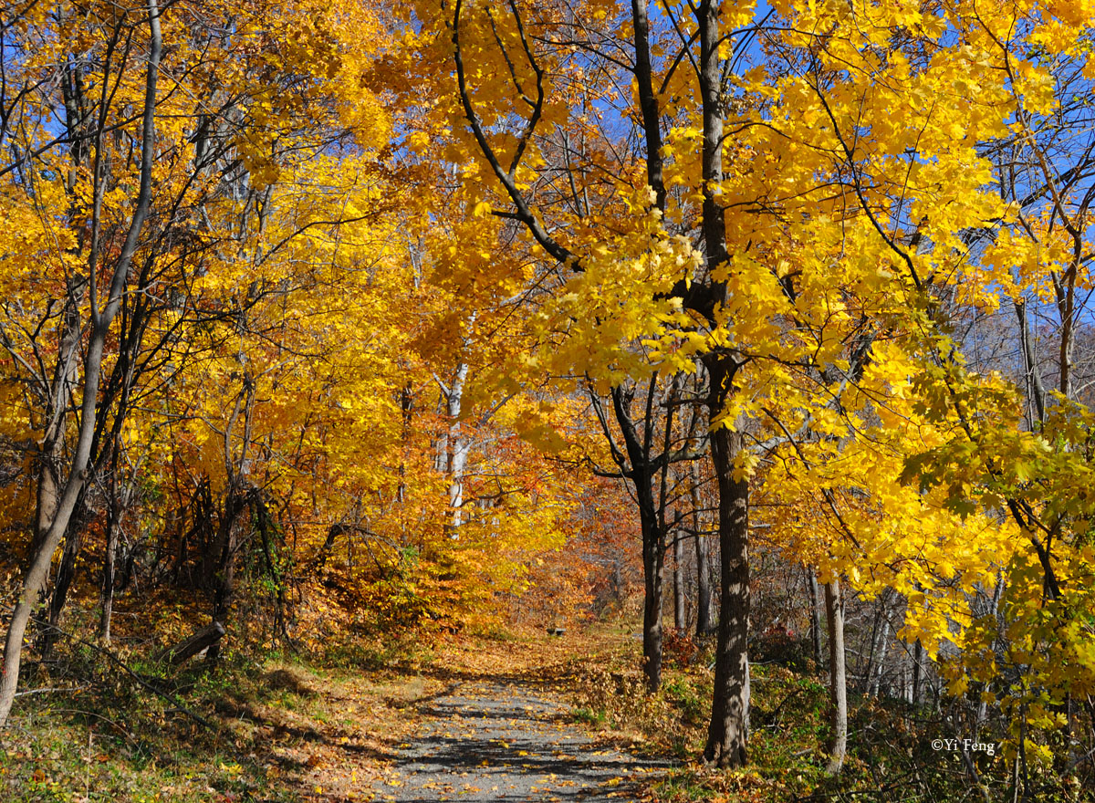 11-12-11_096.jpg