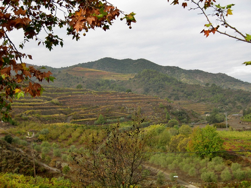 Porrera