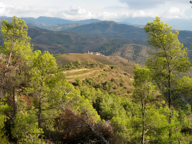 El Lloar