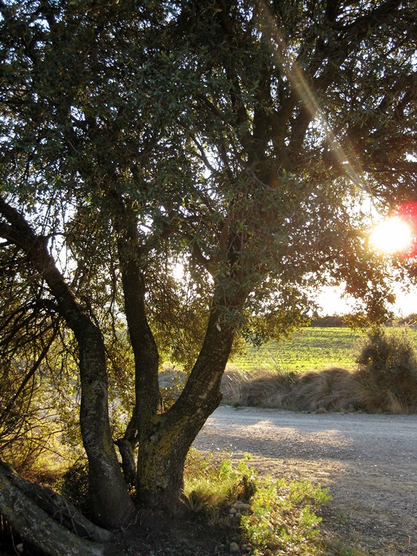 Alrededores de Abalos