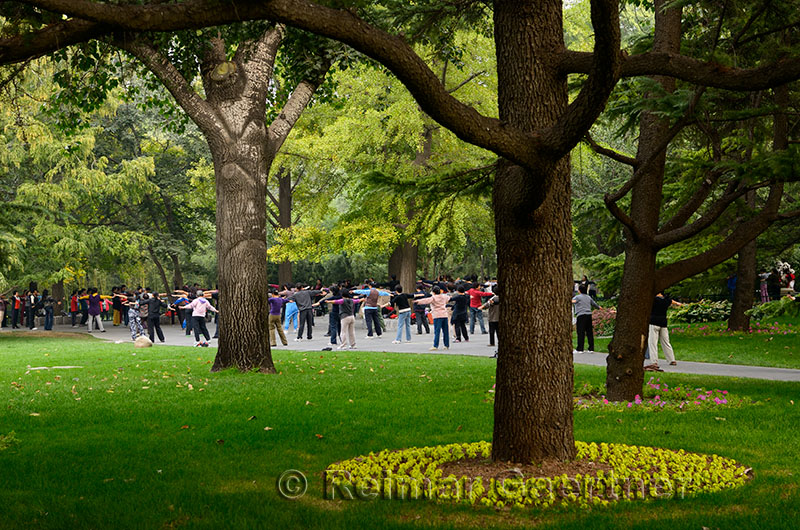 Chinese group at morning exercises under trees in Zizhuyuan Purple Bamboo Park in Beijing on National holiday