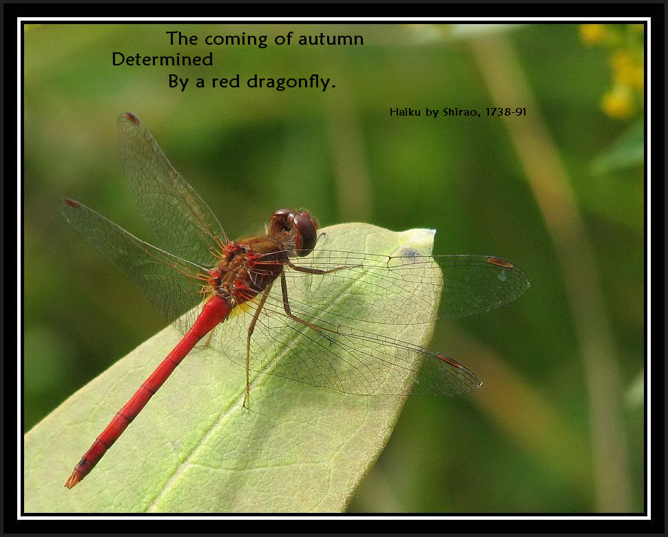 The coming of autumn