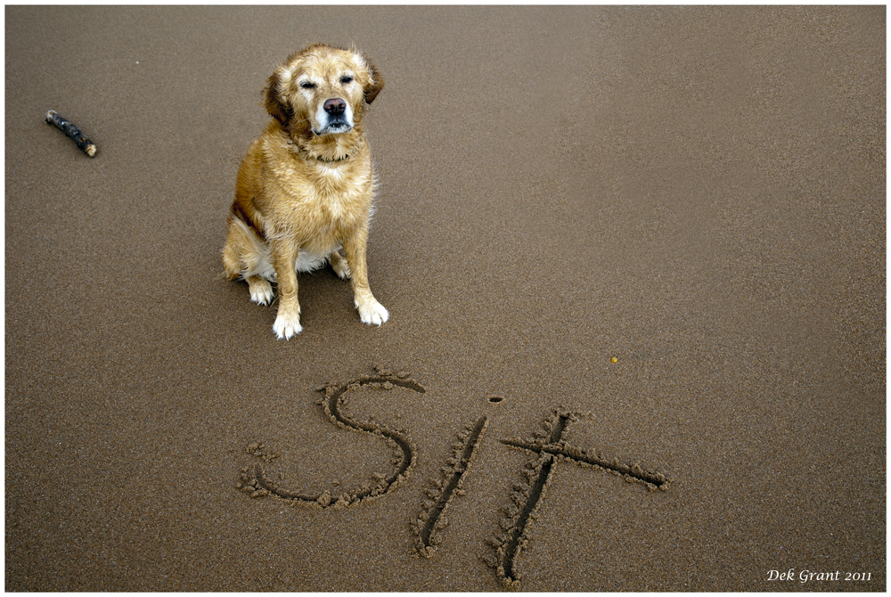 sit