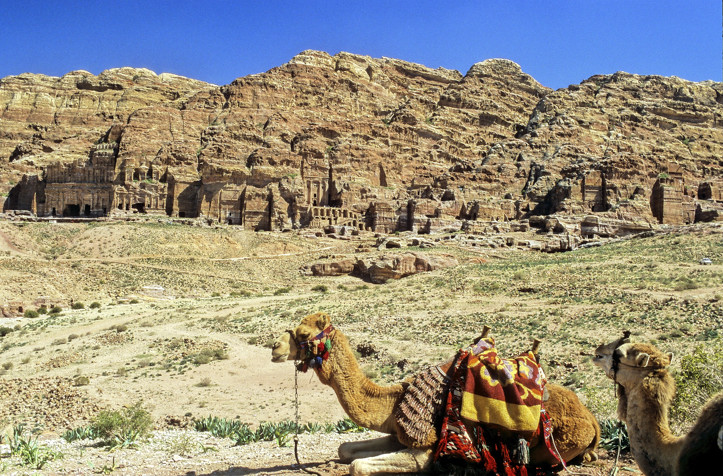 Even Camels have view...