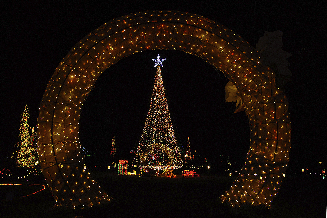 Garvan Gardens Christmas Lights