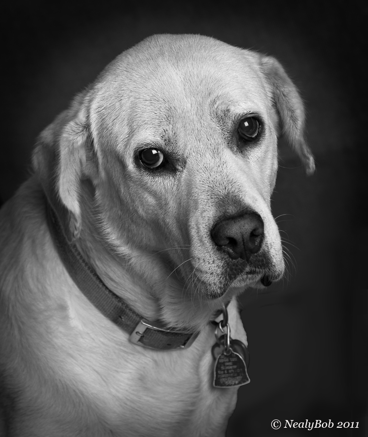 Molly 