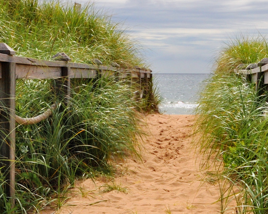 Dune et mer