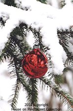 'Tis The Season.jpg