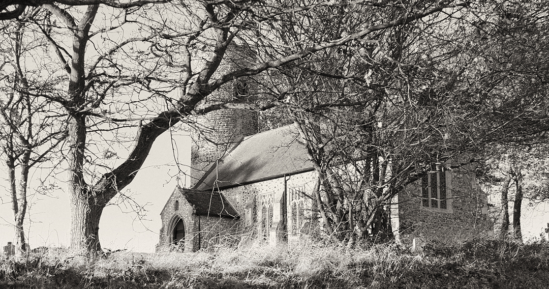 View From The Lane mono