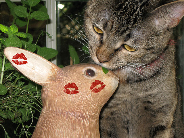 Kisses.jpg