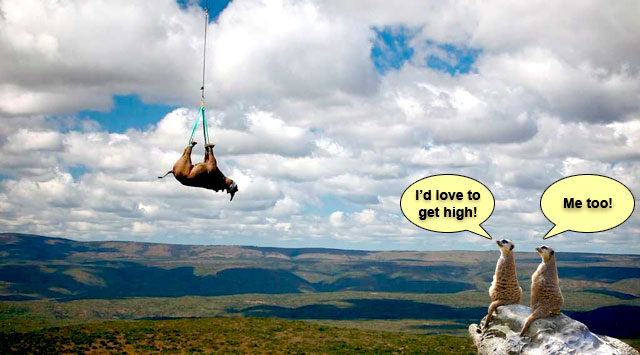 Get-High.jpg