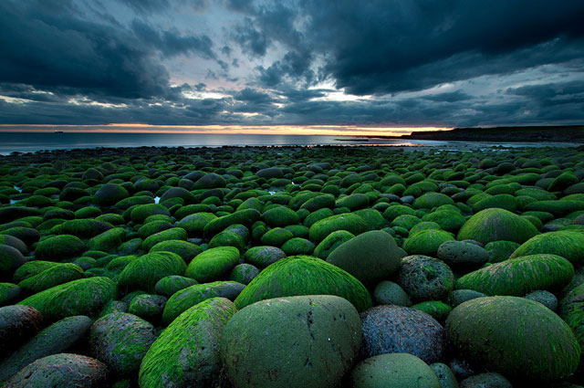Mossy-rocks-O.jpg